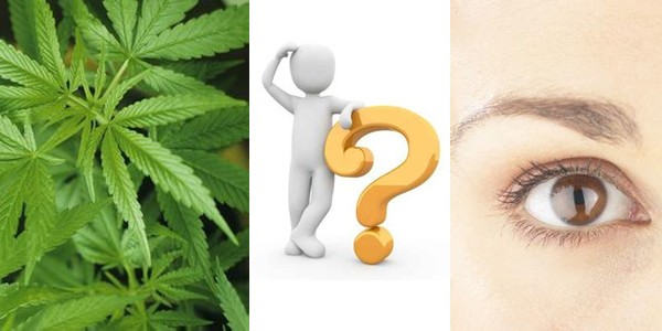 Marijuana May Prevent Blindness from Retinitis Pigmentosa