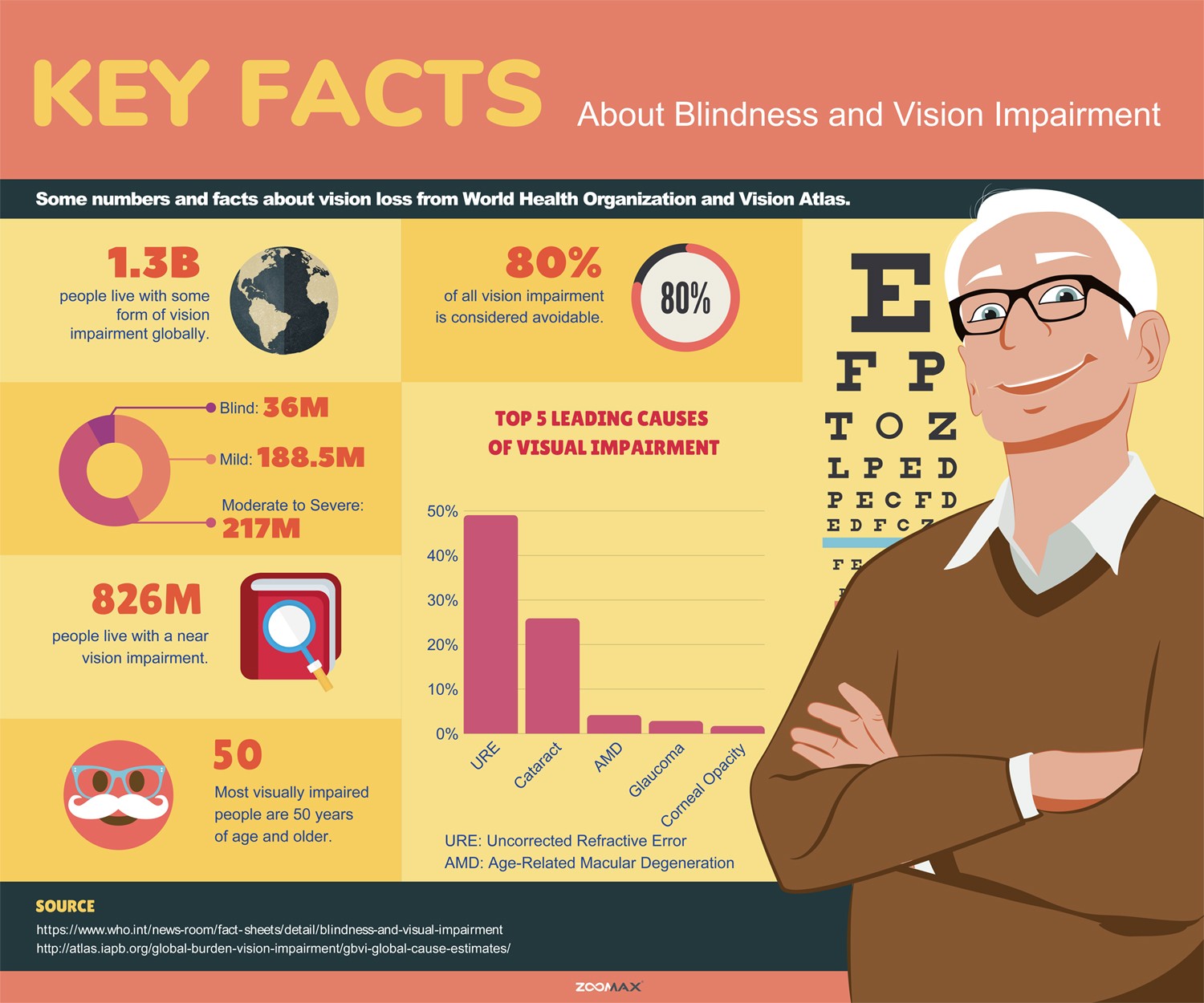 Key Facts About Blindness and Vision Impairment -  Zoomax