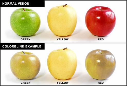 color blindness