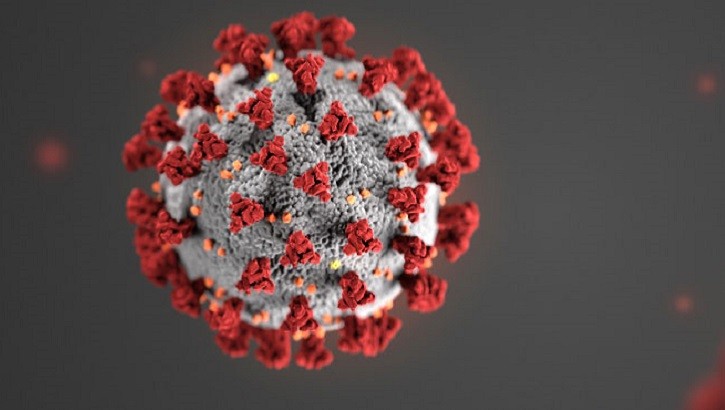 CDC Coronavirus