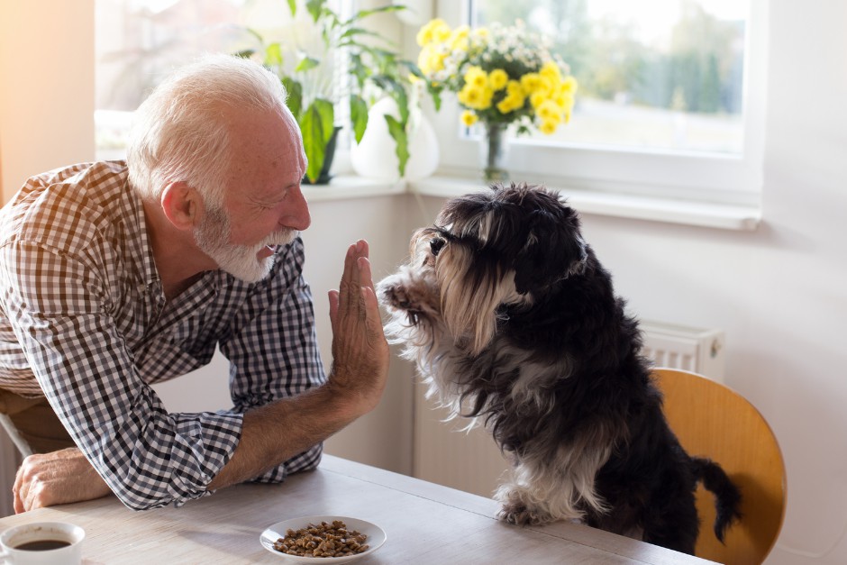 low vision seniors have a pet