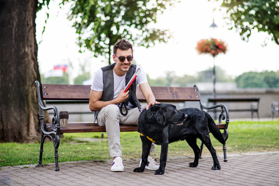 choosing the right guide dog for visually impaired people