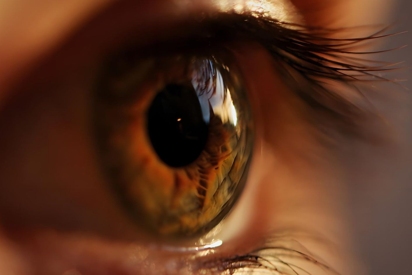 eye picture（cover）