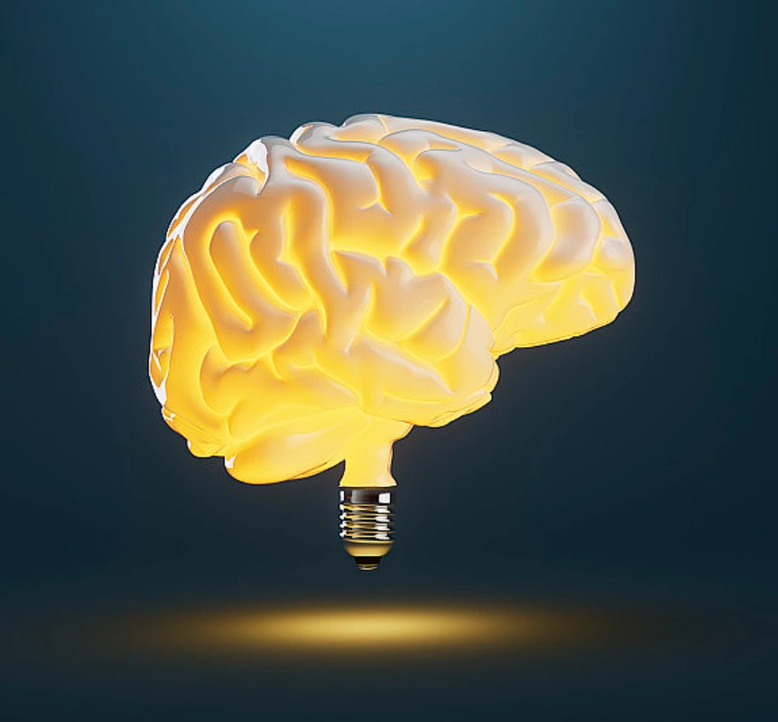 brain 2